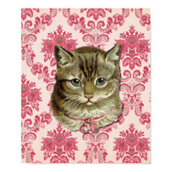 Tabby cat print
