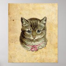 Tabby cat print