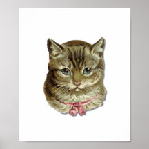 Tabby cat posters