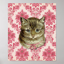 Tabby cat posters