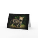 Tabby cat quote card by mmersdesign Tabby cat quote card