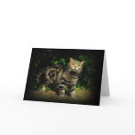 Tabby cat quote card