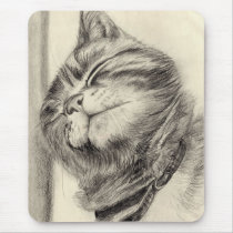 tabby cat scritching mousemat