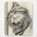 tabby cat scritching mousemat mousepads
