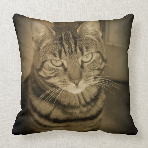 tabby pillow mini