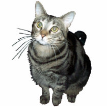 Tabby cat shaped magnet/ornament/keychain photo sculptures by TraceElements Tabby cat shaped magnet/ornament/keychain photo sculptures