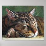 Tabby cat sleeping tiny mouse Poster