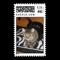 Tabby cat stamps stamps