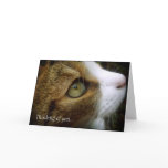 Tabby Cat - Thinking Of You Card