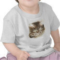tabby_cat t-shirts