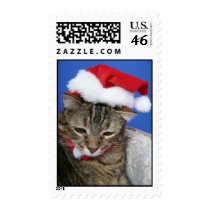 tabby cat wears santa hat Christmas postage stamp by NCPooch_Cat_Gallery tabby cat wears santa hat Christmas postage stamp