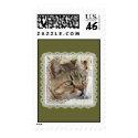 Tabby Cat with Vintage Lace Border Postage