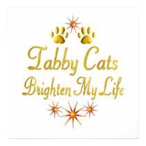 Tabby Cats Brighten My Life posters