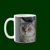 Tabby Cats Mug