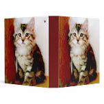 Tabby Kitten binder