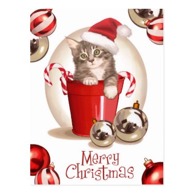 Tabby Kitten Christmas Post Cards