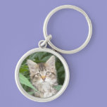 Tabby Kitten keychains