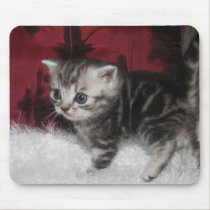 Tabby Kitten mousepad mousepads