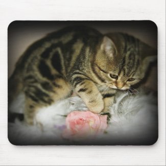 Tabby-kitten mousepad mousepad