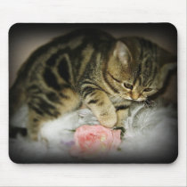 Tabby kitten mousepad mousepads