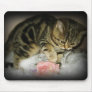 Tabby kitten mousepad