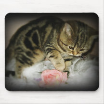 Tabby kitten mousepad