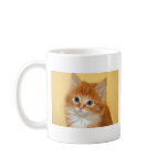 Tabby Kitten Mugs