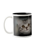 Tabby Kitten Mug