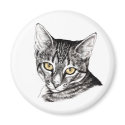 Tabby Kitten Sketch magnets by TheGalacticGroundhog Tabby Kitten Sketch magnets