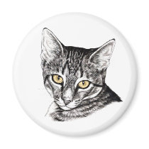 Tabby Kitten Sketch magnets by TheGalacticGroundhog Tabby Kitten Sketch magnets