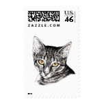 Tabby Kitten Sketch Postage