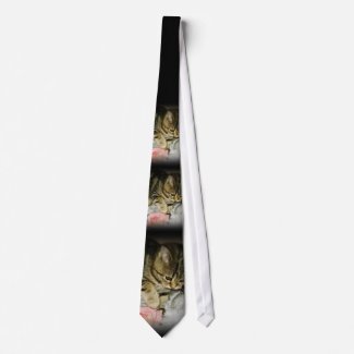 Tabby-kitten Tie tie