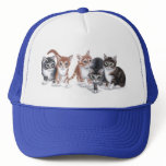 tabby kittens hats