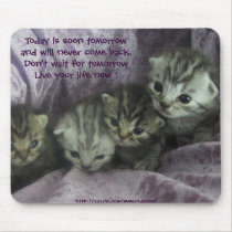 Tabby kittens mousepad mousepads