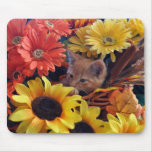 Tabby Kitty Cat Kitten Playing, Pretty Sunflowers Mousepads