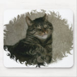 Tabby Kitty Cat  Mousepad