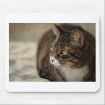 Tabby Mousepad mousepads