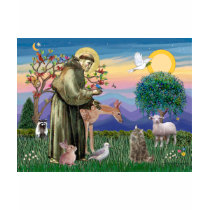 Tabby Norwegian Forest Cat - St Francis t-shirts