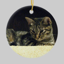 Tabby Ornament ornaments