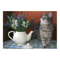 Tabby & Teapot posters