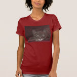 Tabby t-shirts
