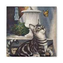 Tabby with Butterfly magnets by Tchotchke Tabby with Butterfly magnets