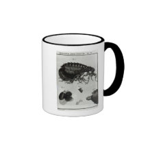 Table IV of Flies and Fleas Mug