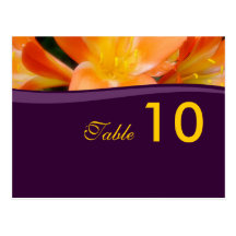 Table Number Postcard