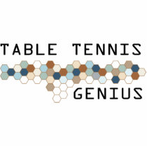 Table Tennis Genius photo sculptures
