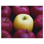 Table top of nine apples, yellow and red flyers