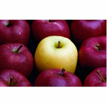 Table top of nine apples, yellow and red cut out