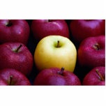 Table top of nine apples, yellow and red cut out