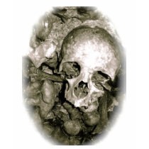 TABOO -  Catacombs Skull Tee t-shirts