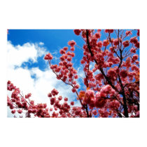 Tabor in spring posters by robcork Tabor in spring posters